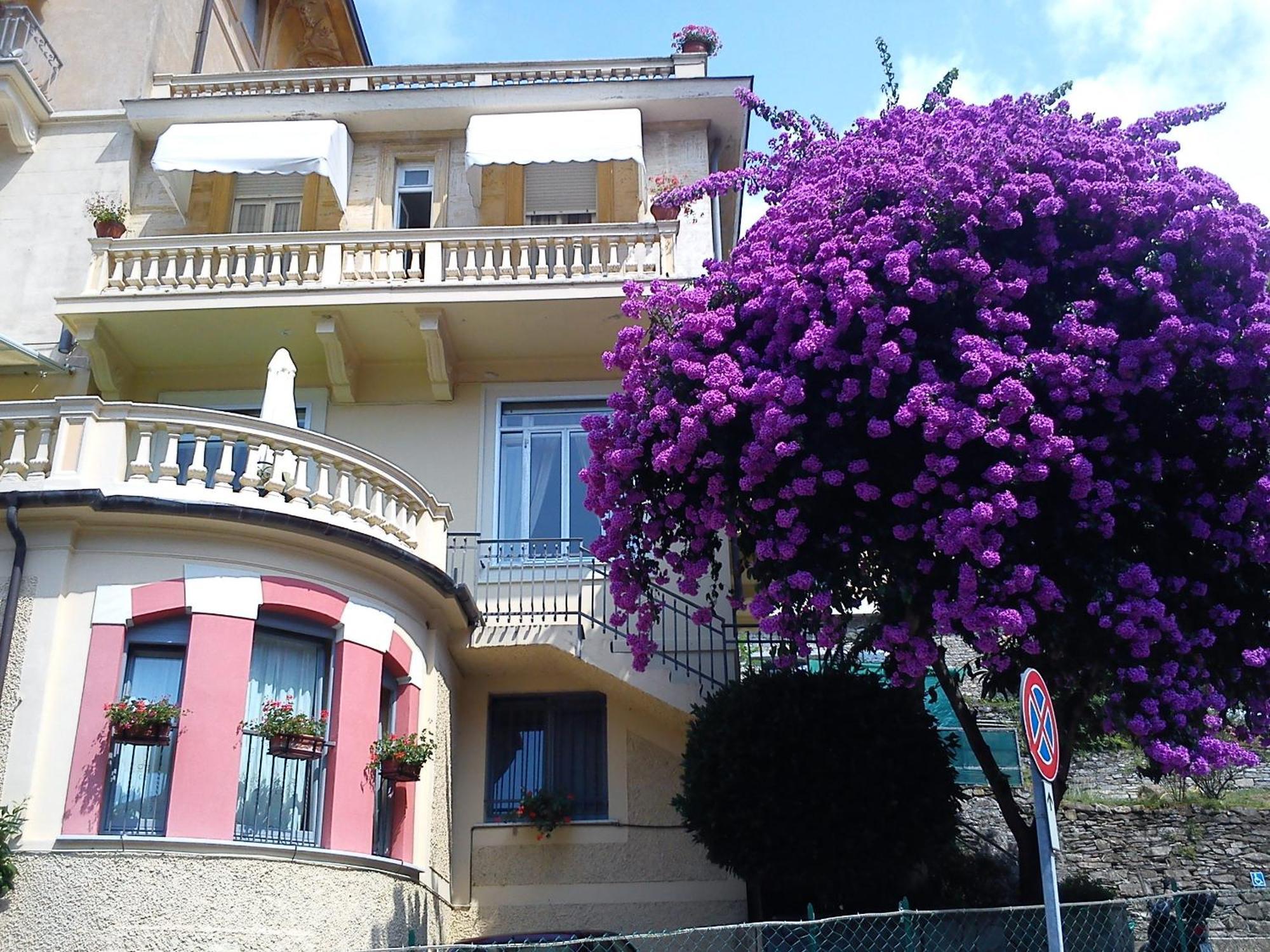 Hotel Canali, Portofino Coast Rapallo Eksteriør bilde