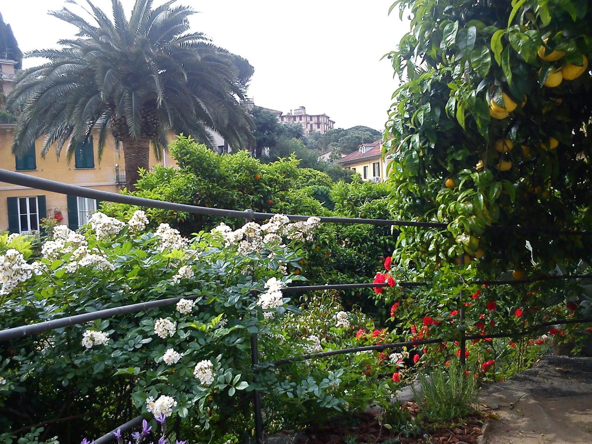 Hotel Canali, Portofino Coast Rapallo Eksteriør bilde