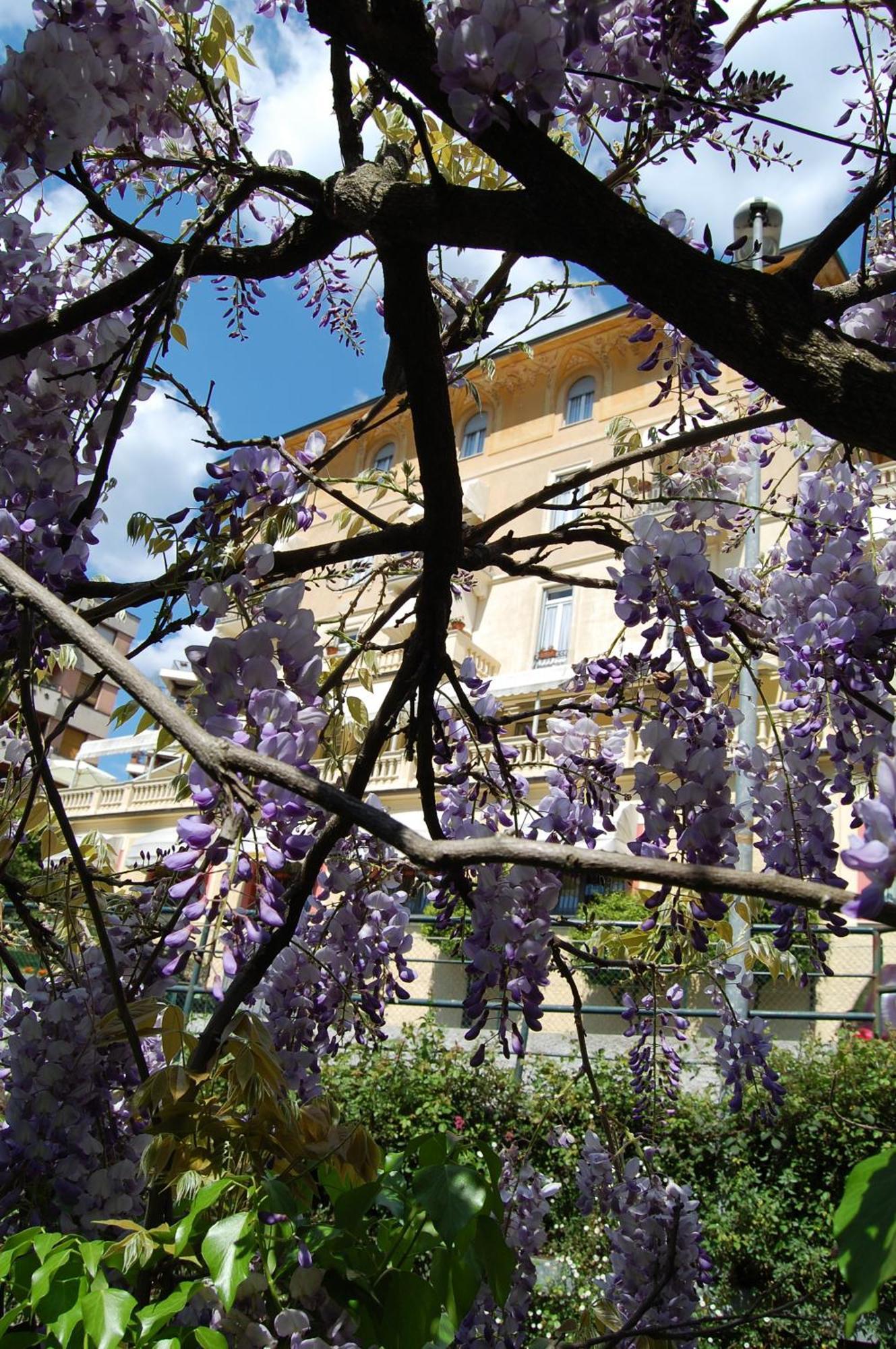 Hotel Canali, Portofino Coast Rapallo Eksteriør bilde